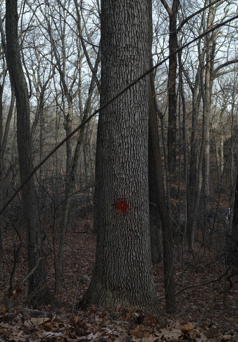 © Elizabeth Hibbard - Eye (marked spell)