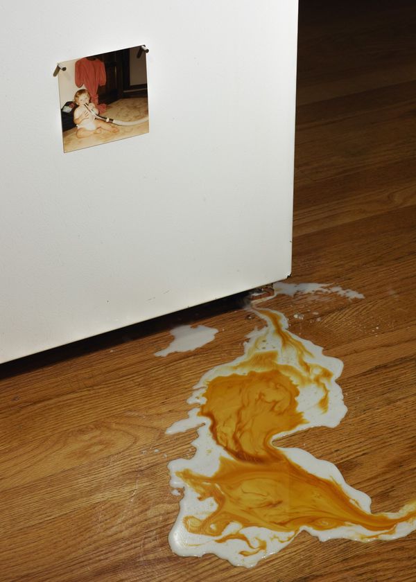 © Elizabeth Hibbard - Jamie