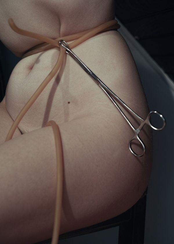 © Elizabeth Hibbard - Flesh Study iv