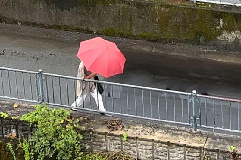 © Cintia Tortosa Santisteban - Image from the Screenshots from a series of videos about a rice field and its surroundings photography project