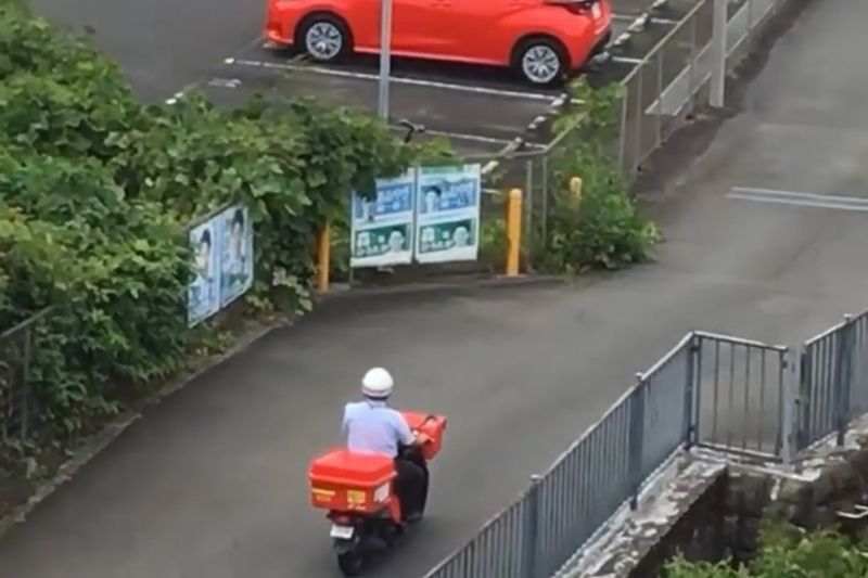 © Cintia Tortosa Santisteban - Image from the Screenshots from a series of videos about a rice field and its surroundings photography project