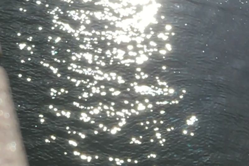 © Cintia Tortosa Santisteban - Image from the Screenshots from a series of videos about a rice field and its surroundings photography project