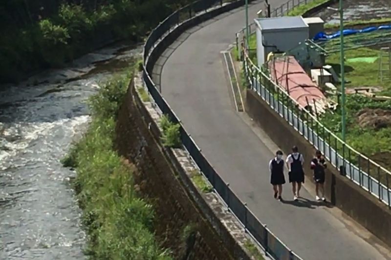 © Cintia Tortosa Santisteban - Image from the Screenshots from a series of videos about a rice field and its surroundings photography project