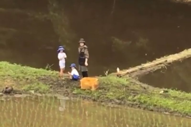 © Cintia Tortosa Santisteban - Image from the Screenshots from a series of videos about a rice field and its surroundings photography project