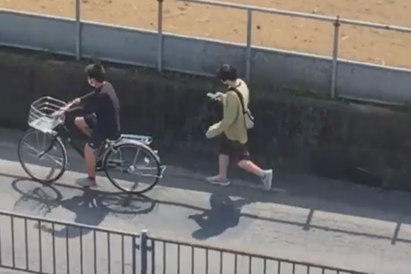 © Cintia Tortosa Santisteban - Image from the Screenshots from a series of videos about a rice field and its surroundings photography project