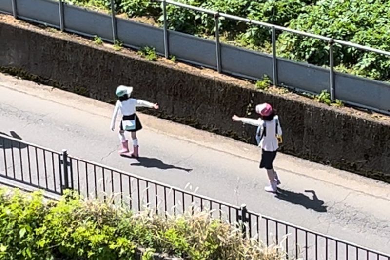 © Cintia Tortosa Santisteban - Image from the Screenshots from a series of videos about a rice field and its surroundings photography project