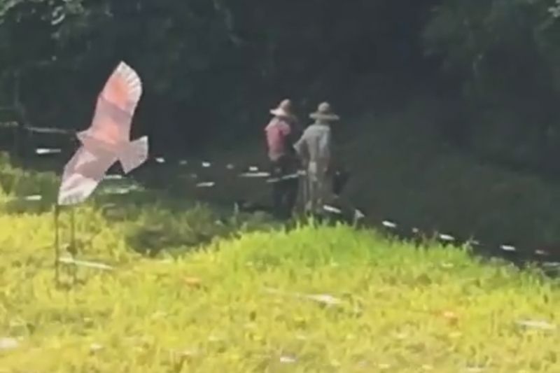 © Cintia Tortosa Santisteban - Image from the Screenshots from a series of videos about a rice field and its surroundings photography project