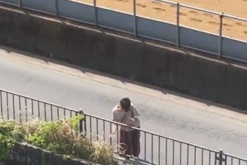 © Cintia Tortosa Santisteban - Image from the Screenshots from a series of videos about a rice field and its surroundings photography project