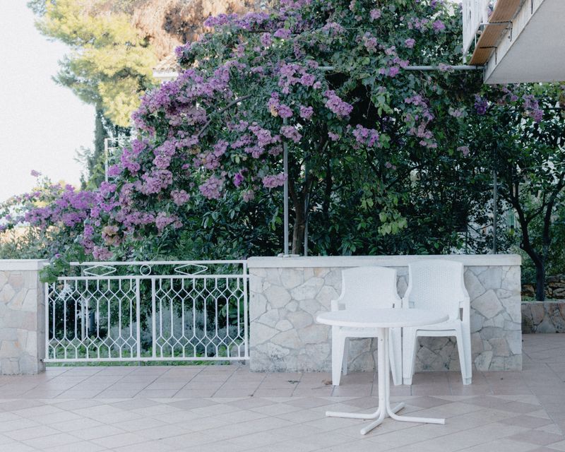 © Hana Selena Sokolovic - The house my sisters lived in as refugees during summer 1992 — Hvar, Jelsa, 2024.