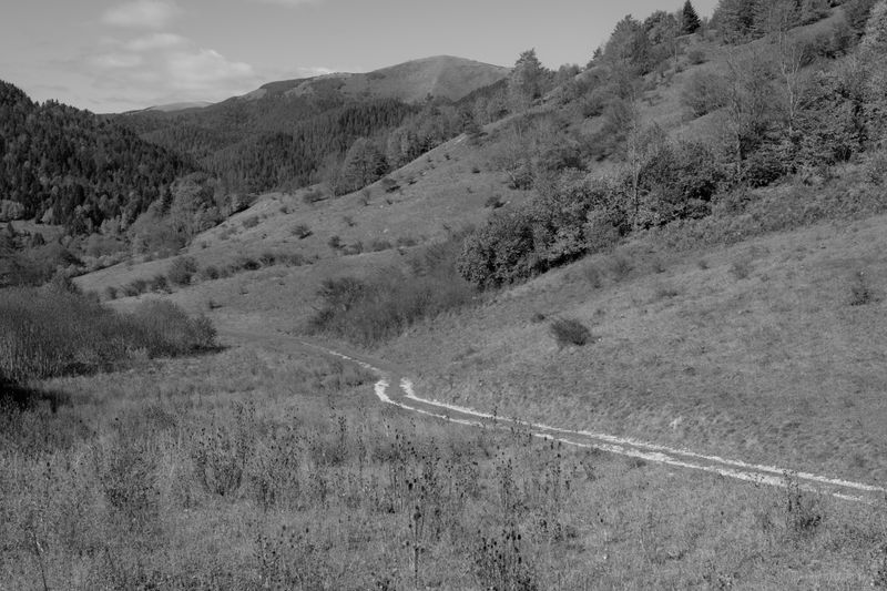 © Hana Selena Sokolovic - Nature in Bosnia, 2024 — along the route my sisters travelled on the children’s refugee bus in 1992.