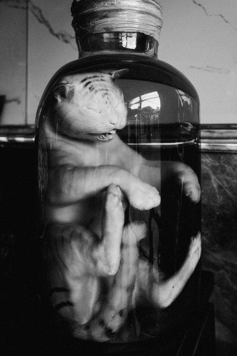 © Lilia Gross - Image from the Upon that vast and foreign ceiling photography project