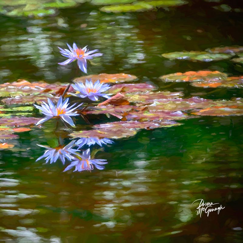 © Doreen McGunagle - Image from the Majestic Power of Water photography project