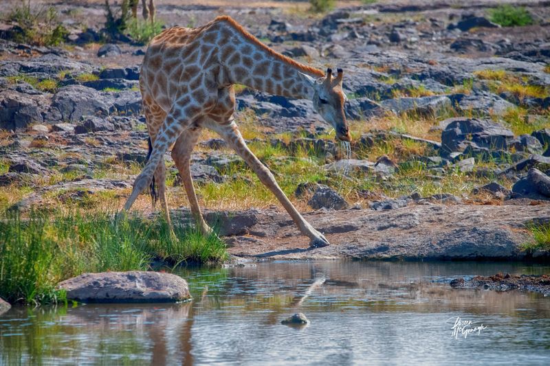 © Doreen McGunagle - Image from the Majestic Power of Water photography project