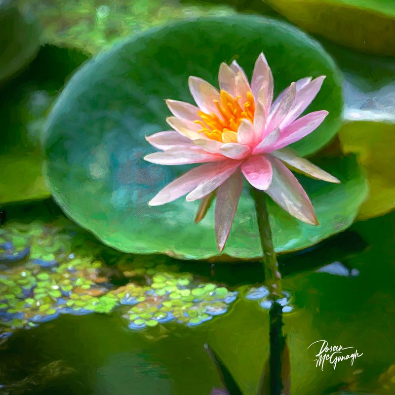 © Doreen McGunagle - Image from the Majestic Power of Water photography project