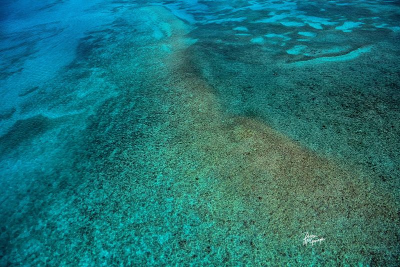 © Doreen McGunagle - Shimmering Depths of the Sanctuary