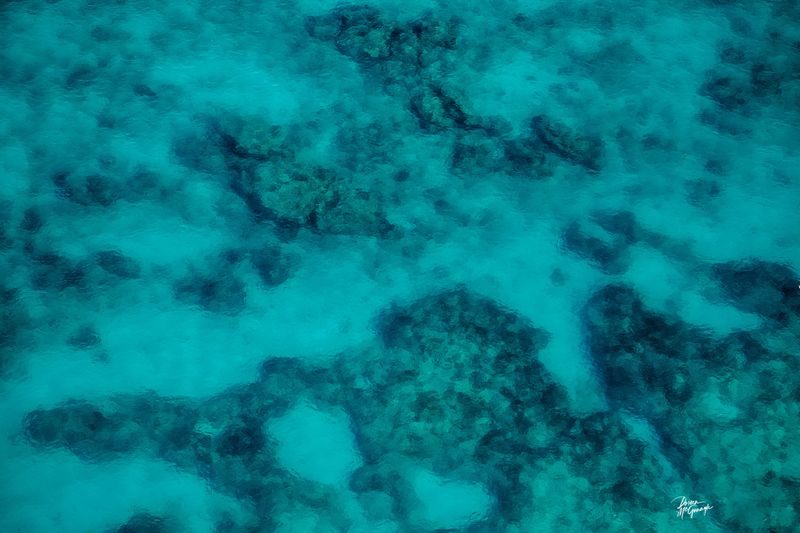 © Doreen McGunagle - Veins of Serenity in Ocean's Embrace