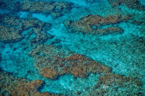 © Doreen McGunagle - Whispers from the Sanctuary Reef