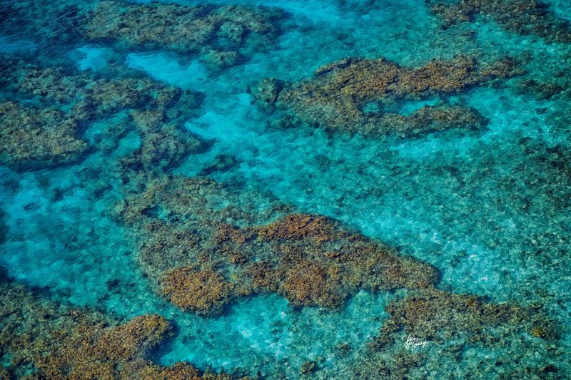 © Doreen McGunagle - Whispers from the Sanctuary Reef