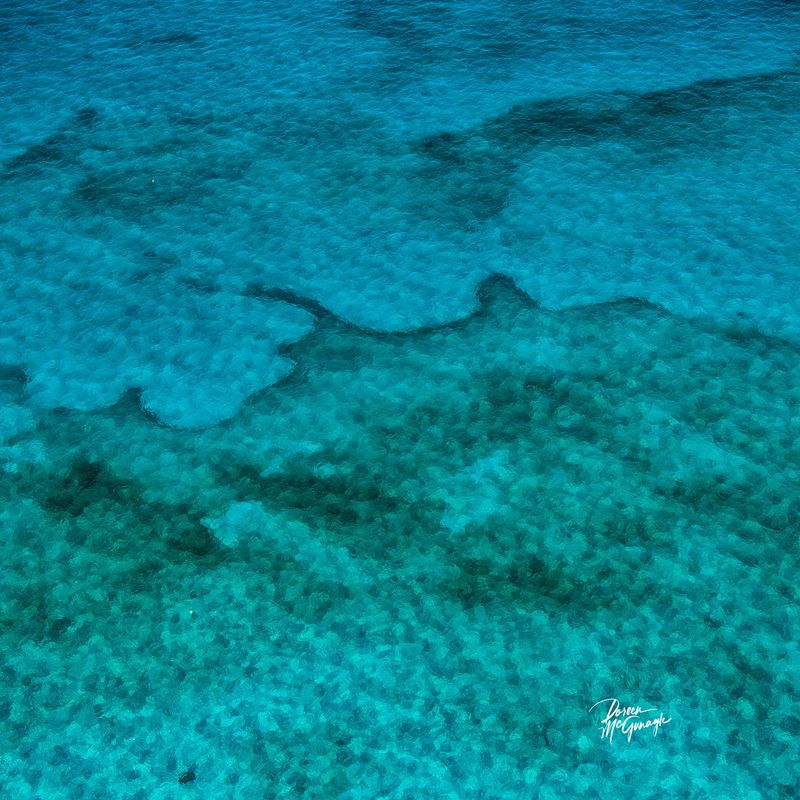 © Doreen McGunagle - Silent Currents of the Turquise Veil