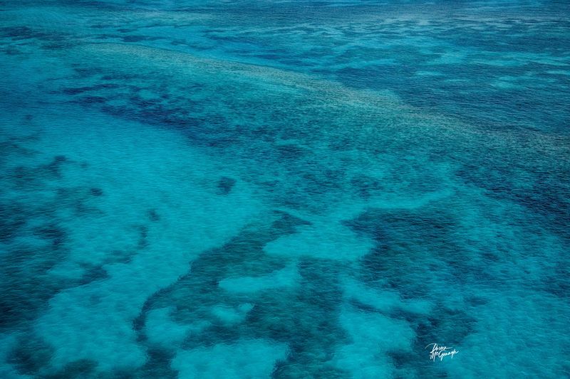 © Doreen McGunagle - Fluid Currents of Looe Key