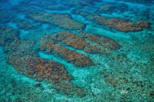 What the Surface Hides