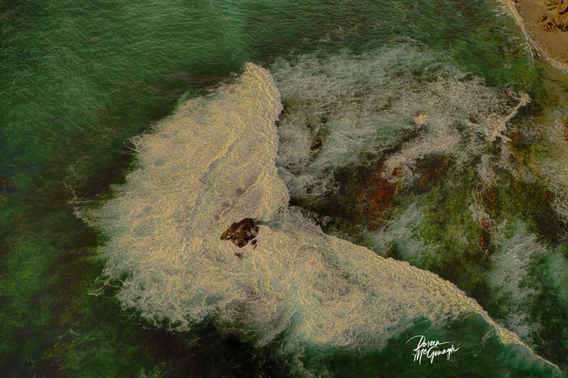 © Doreen McGunagle - Image from the The Living Patterns of the Pacific San Diego from Above photography project