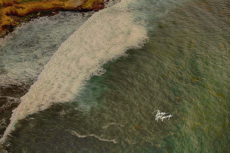© Doreen McGunagle - Image from the The Living Patterns of the Pacific San Diego from Above photography project