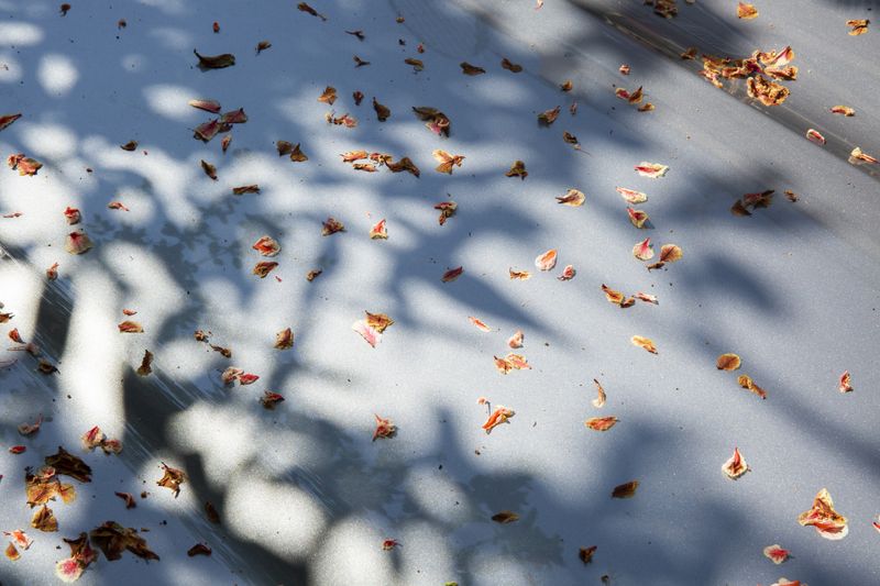 © Gaia Squarci - Image from the Dance For No Reason photography project