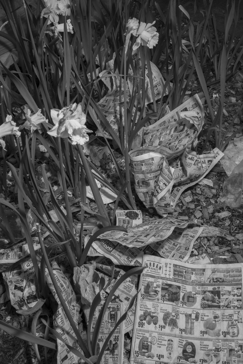 © Gaia Squarci - Image from the Springfall, a New York City Diary photography project