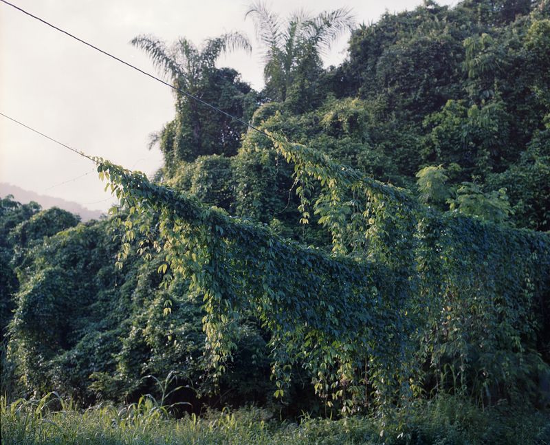 © Layla Motta - Image from the Atlântica photography project