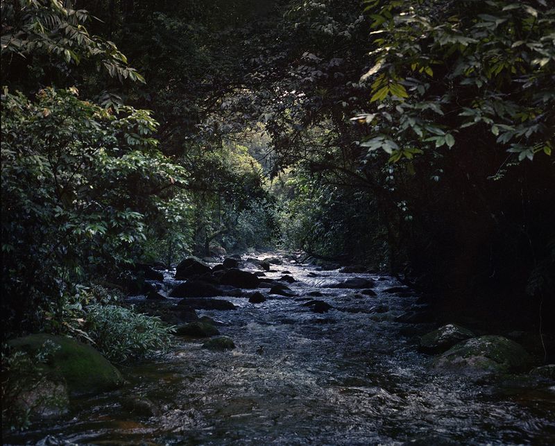 © Layla Motta - Image from the Atlântica photography project