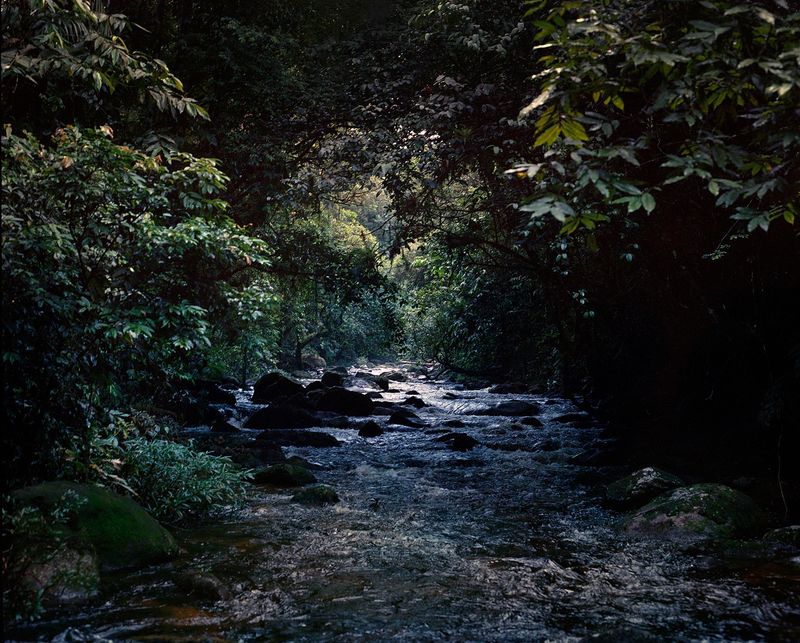 © Layla Motta - Image from the Atlântica photography project