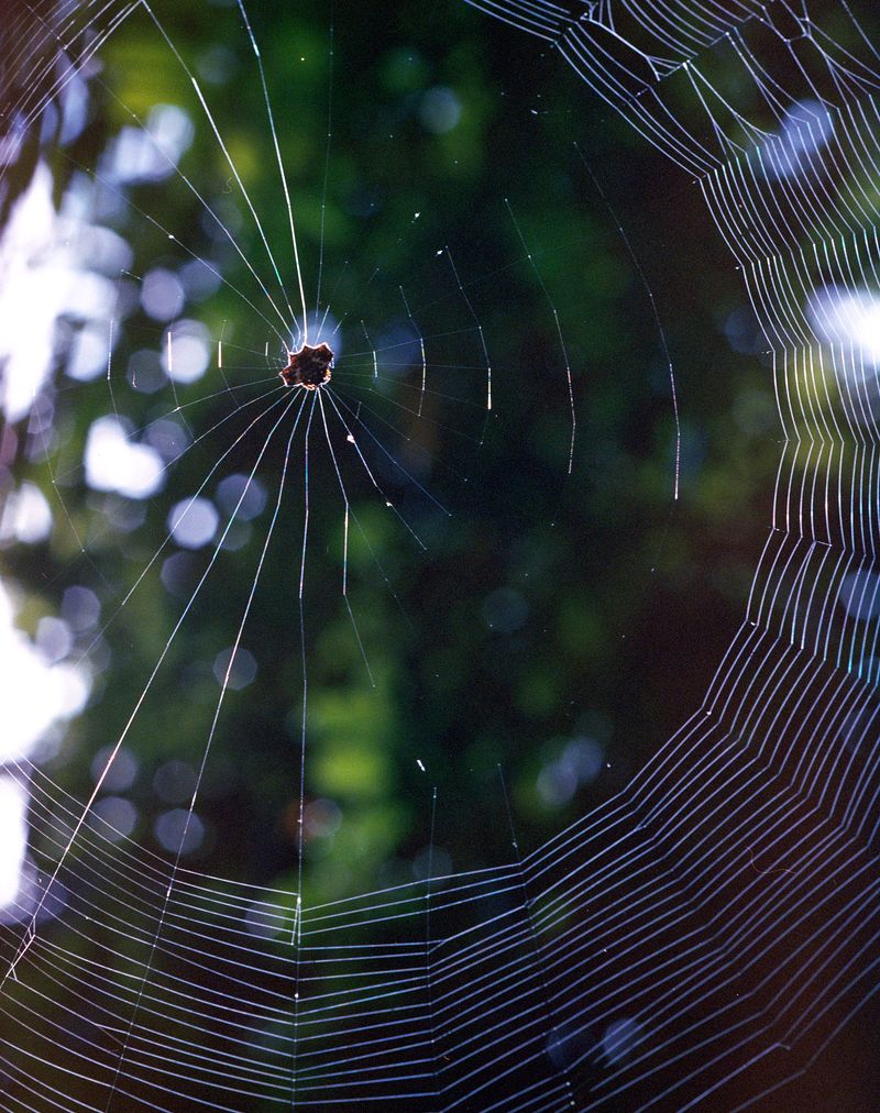 © Layla Motta - Image from the Atlântica photography project