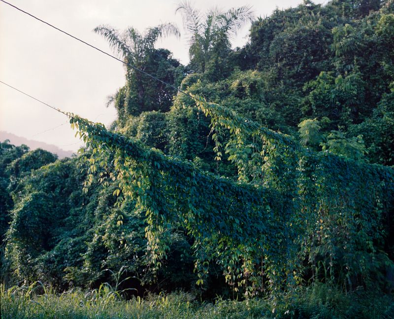 © Layla Motta - Image from the Atlântica photography project