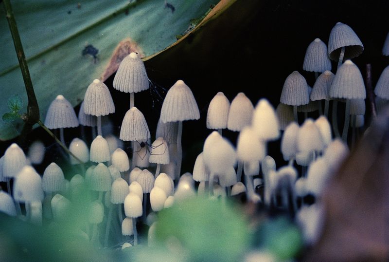 © Layla Motta - Image from the Atlântica photography project