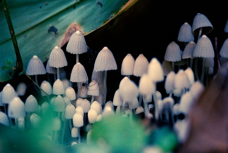 © Layla Motta - Image from the Atlântica photography project