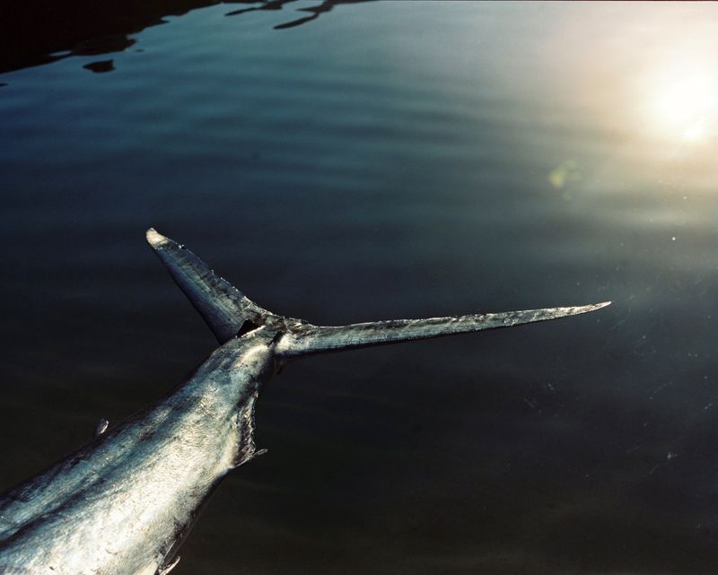 © Layla Motta - Image from the Atlântica photography project