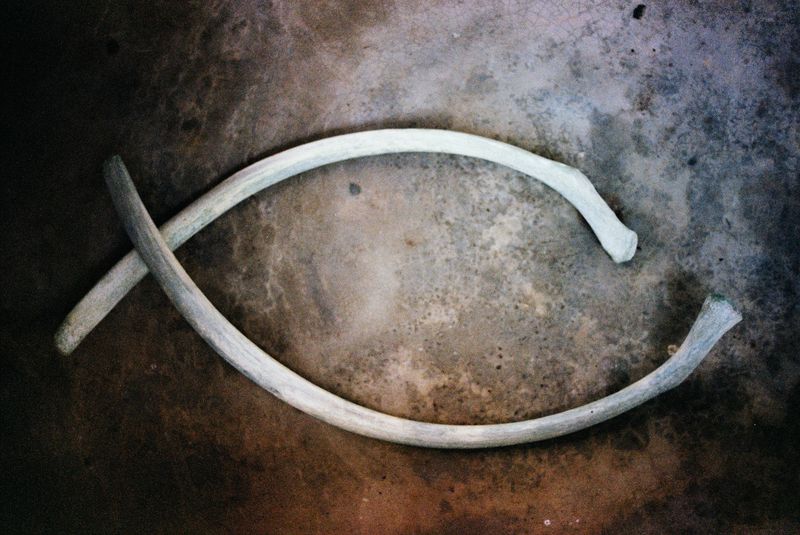 © Layla Motta - Image from the Atlântica photography project