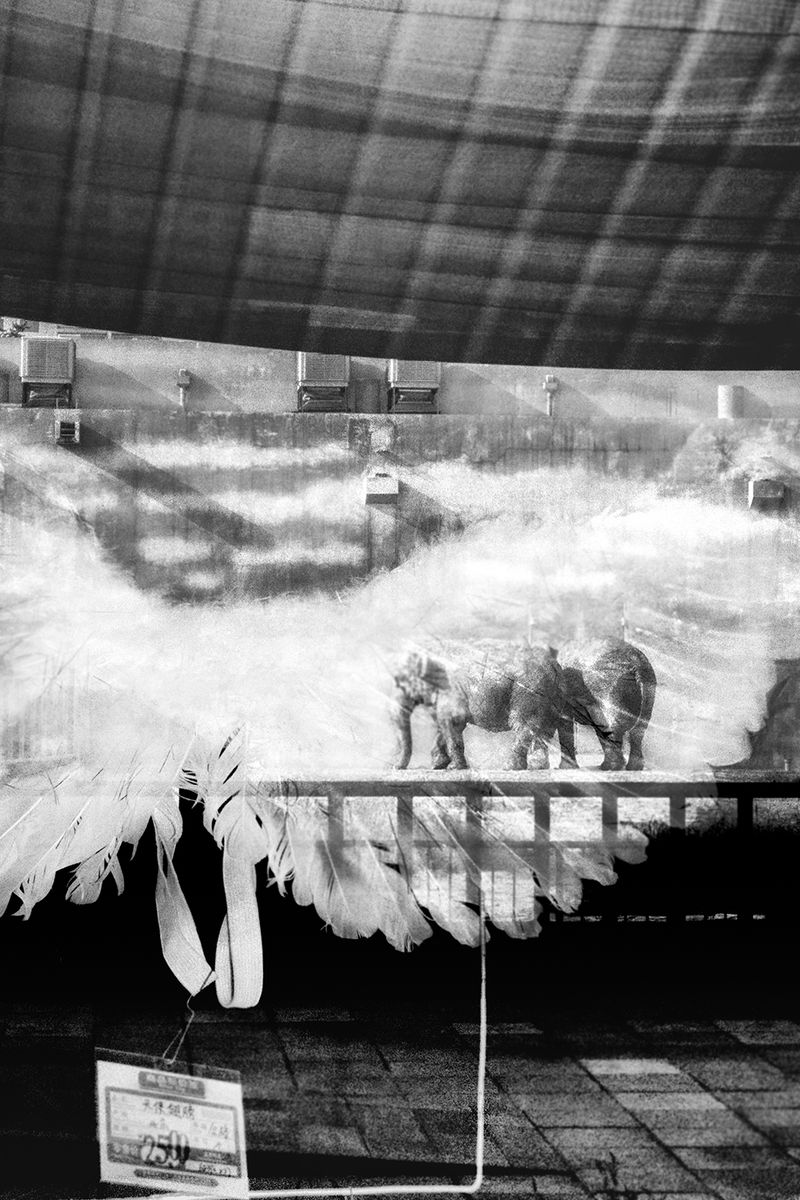 © Wei Weng - Image from the EAT A CHILLI photography project