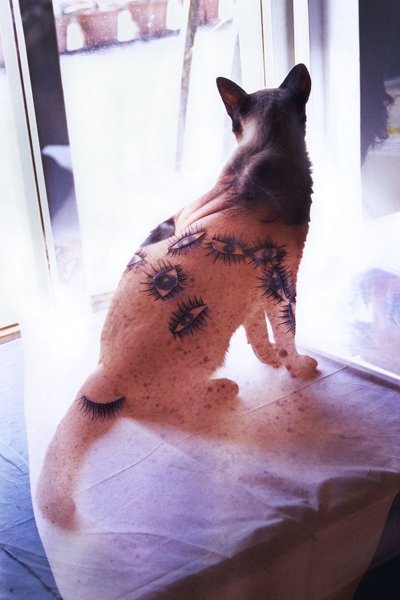 © Wei Weng - Image from the EAT A CHILLI photography project