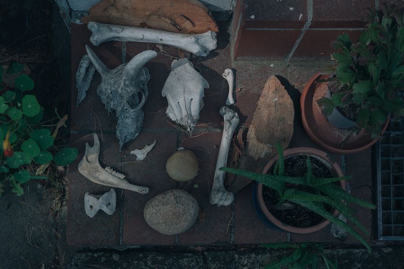 © Kseniia Apresian - Altar made by Alicia's kids in Zegg