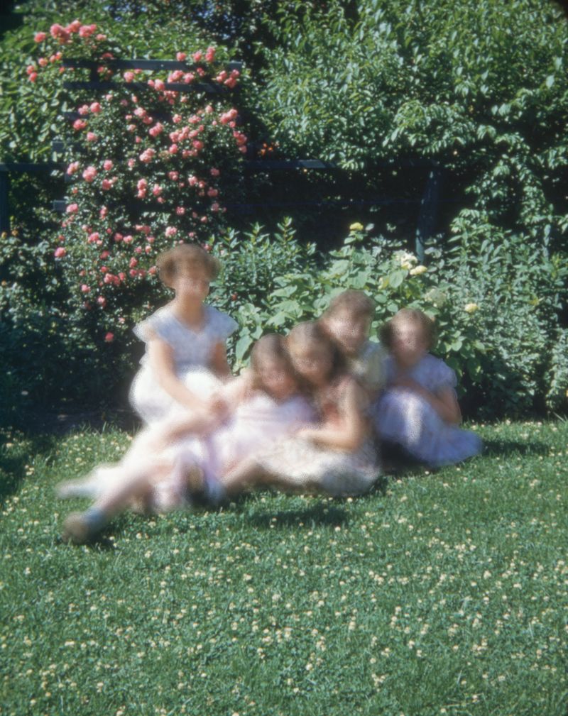 © Elizabeth Blom - the secret garden
