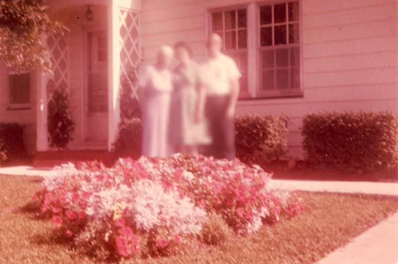 © Elizabeth Blom - sunny afternoon on the front lawn
