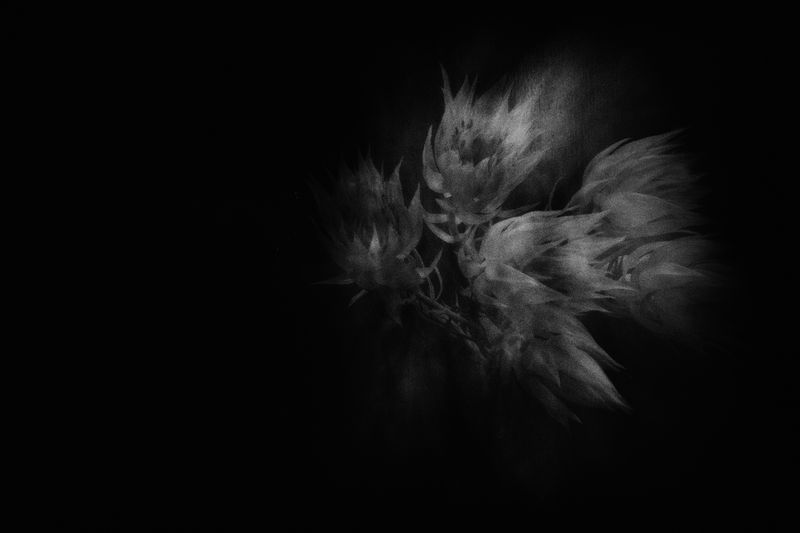 © Tatsuo Suzuki - Image from the RAW POWER photography project