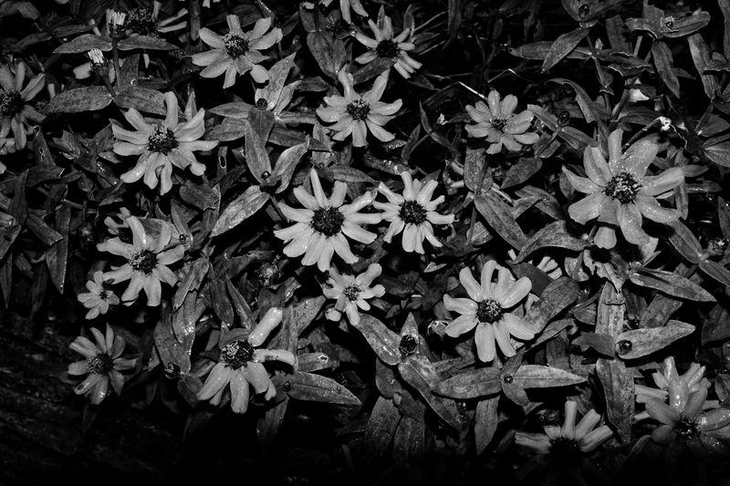 © Tatsuo Suzuki - Image from the RAW POWER photography project