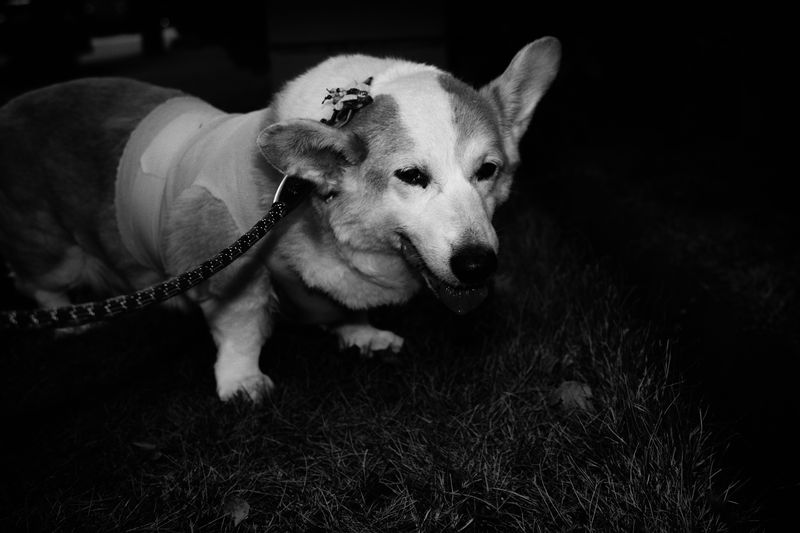 © Tatsuo Suzuki - Image from the RAW POWER photography project
