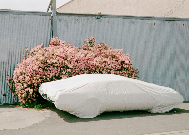 © Macayli Hausmann - Image from the Emotional Algorithm photography project