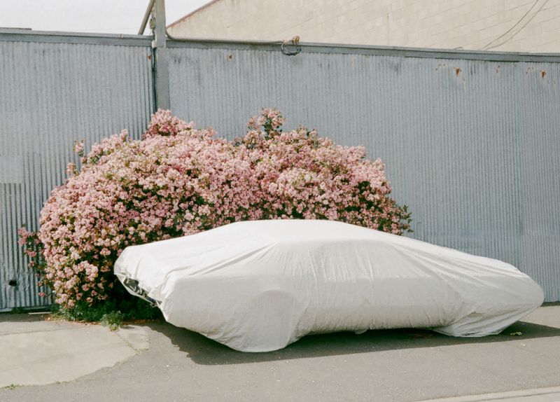 © Macayli Hausmann - Image from the Emotional Algorithm photography project