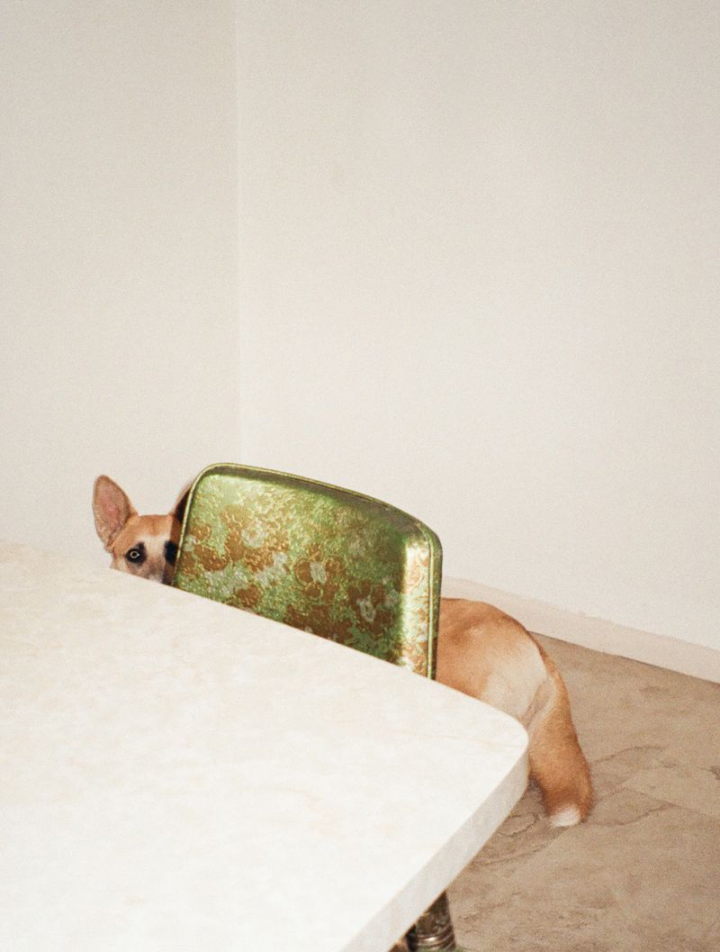 © Macayli Hausmann - Image from the Emotional Algorithm photography project