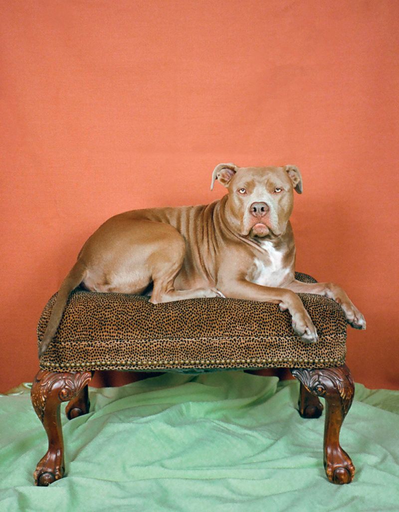 © Macayli Hausmann - Image from the Emotional Algorithm photography project